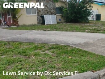 Lawn Cutin Dunedin,34698,Lawn Mow by Etc Services Fl, work completed in Jun , 2026
