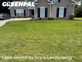 Grass Cut nearby Columbia, SC, 