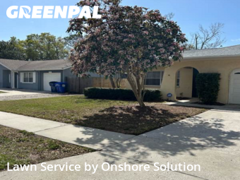 Lawn Care Service nearby Palm Harbor, FL, 