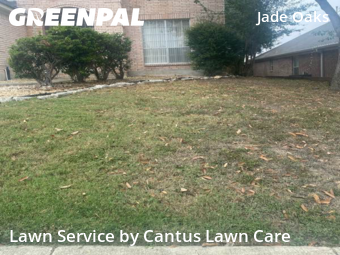 Lawn Mowin San Antonio,78249,Lawn Mowing Service by Cantus Lawn Care, work completed in Dec , 2025