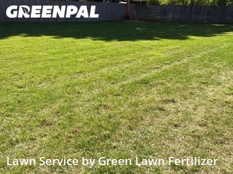 Lawn Mowing nearby Springfield, MO, 