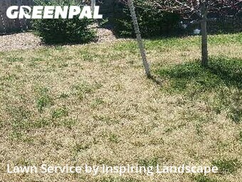 Lawn Cut nearby Colorado Springs, CO, 