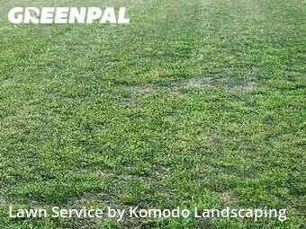 Lawn Cutting nearby Gainesville, GA, 