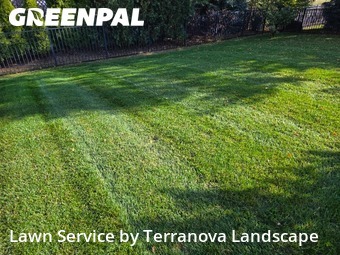Grass Services in Geneva, 60134, Yard Cutting by Terranova Landscape, work completed in Dec , 2025