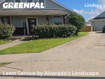 Lawn Servicein Atascocita,77346,Yard Mowing by Alvarado's Landscape, work completed in Dec , 2025