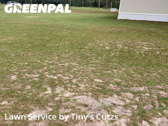 Yard Mowing nearby Valdosta, GA, 