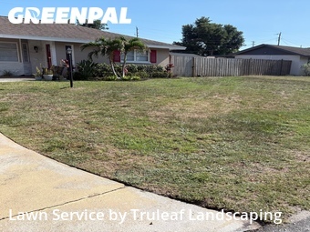 Grass Cut nearby Bradenton, FL, 