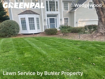 Yard Mowing nearby Charlotte, NC, 