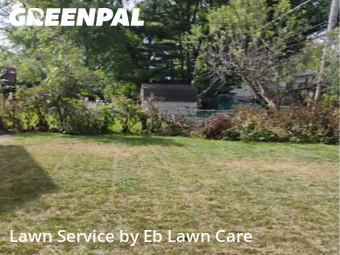 Yard Care in Mount Prospect, 60056, Lawn Services by Eb Lawn Care , work completed in Nov , 2025