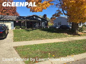 Lawn Work in Cincinnati, 45236, Garden Trimming by Lawnfellow Deeds, work completed in Nov , 2025