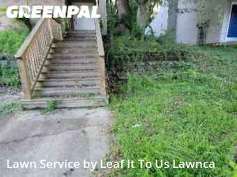 Lawn Cut nearby Tallahassee, FL, 