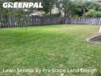 Lawn Cut nearby Davie, FL, 