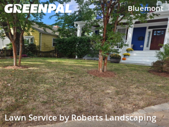 Lawn Mowing Service nearby Arlington, VA, 