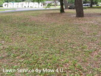 Lawn Mow nearby Tallahassee, FL, 