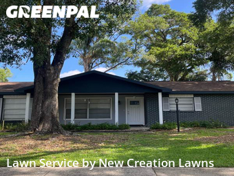 Lawn Mow nearby Valrico, FL, 