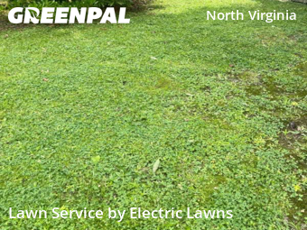 Lawn Mowing Service nearby Virginia Beach, VA, 