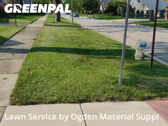 Lawn Service nearby Elmhurst, IL, 
