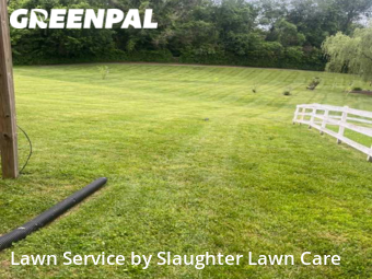 Yard Mowing nearby Powell, TN, 