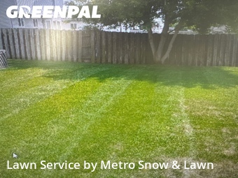 Lawn mowed in Clinton Township, 48035