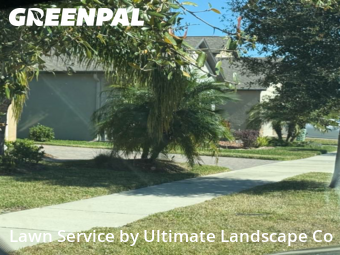 Lawn mowed in Sun City Center, 33573