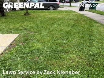 Lawn Mowing Service nearby Cincinnati, OH, 