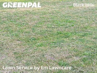 Lawn Mowing Service nearby Grand Rapids, MI, 