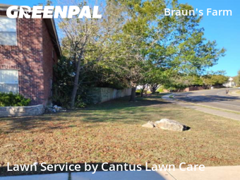 Lawn Mow nearby San Antonio, TX, 