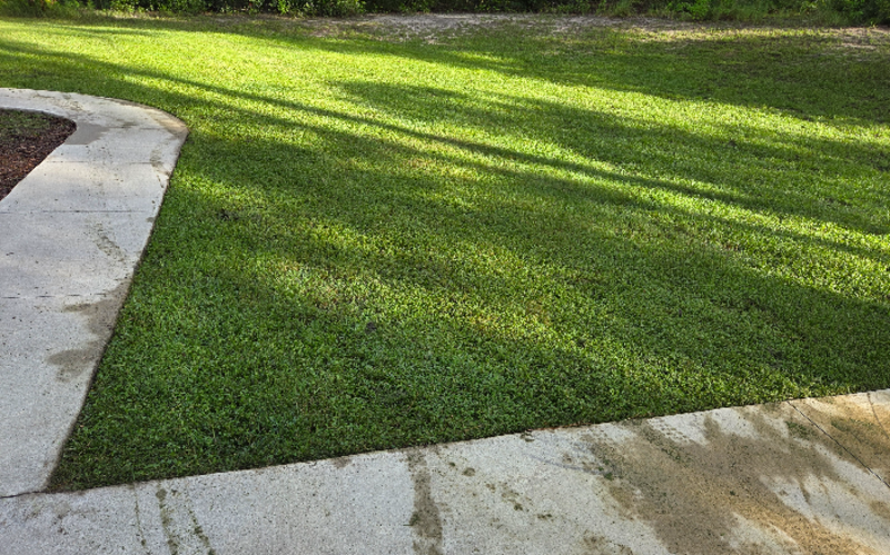 Work Image 1