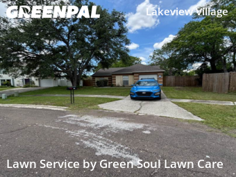 Lawn Mowing nearby Brandon, FL, 
