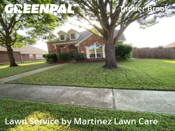 Lawn Mow nearby Plano, TX, 