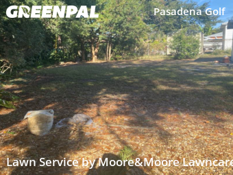 Lawn mowed in Gulfport, 33707