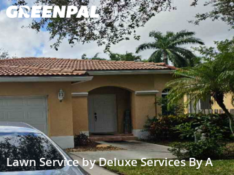Grass Care in Coconut Creek, 33073, Yard Services by Deluxe Services By A, work completed in Nov , 2025