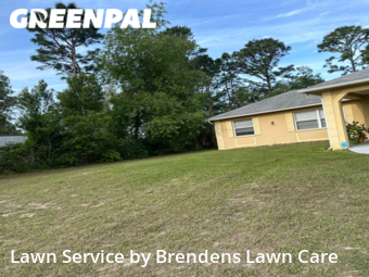 Yard Cutting nearby Spring Hill, FL, 