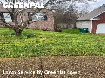 Lawn Cut nearby Spring Hill, TN, 