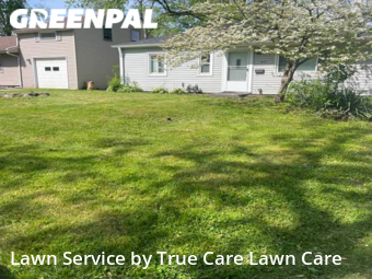 Grass Cutting nearby Urbana, IL, 