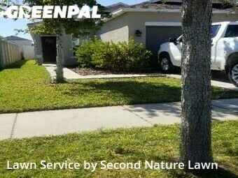 Lawn Cutting nearby Riverview, FL, 