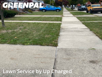 Grass Cut nearby Dearborn, MI, 