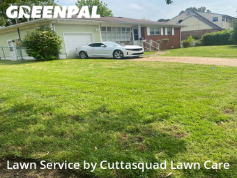 Yard Cutting nearby Norfolk, VA, 