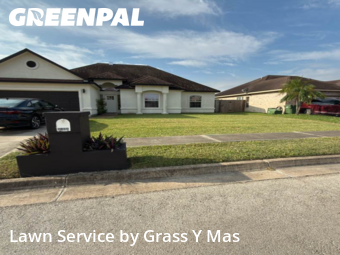 Lawn Care in Brownsville, 78526, Weekly Mowing by Grass Y Mas , work completed in Nov , 2025