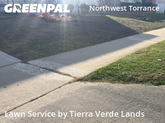 Work completed by affordable-grass-cutting-businesses-in-Torrance-CA