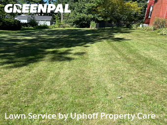 Grass Cutting nearby Madison, WI, 