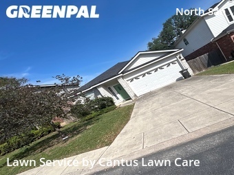 Grass Cutting nearby San Antonio, TX, 