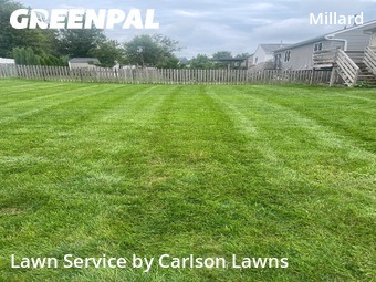 Grass Cut nearby Omaha, NE, 