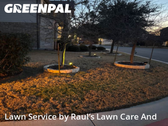 Lawn mowed in Austin, 78717