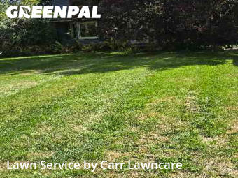 Yard Cutting nearby Fairport, NY, 