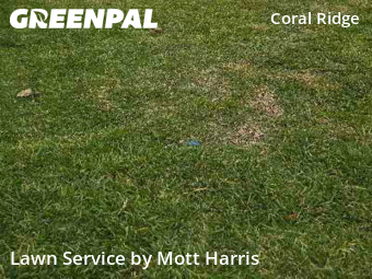 Lawn Care Servicein Fort Lauderdale,33334,Grass Cutting by Mott Harris, work completed in Feb , 2026