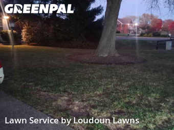 Lawn Care Service nearby Ashburn, VA, 