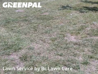 Lawn Mow nearby Rolesville, NC, 