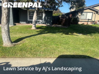 professional-lawn-care-service-in-Modesto-CA