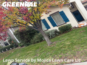 Work completed by lawn-care-experts-in-Rocklin-CA
